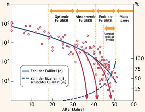 Fruchtbarkeitsreserve zu Alter bei Frauen